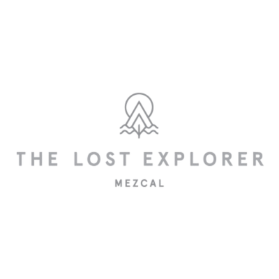 THE LOST EXPLORER